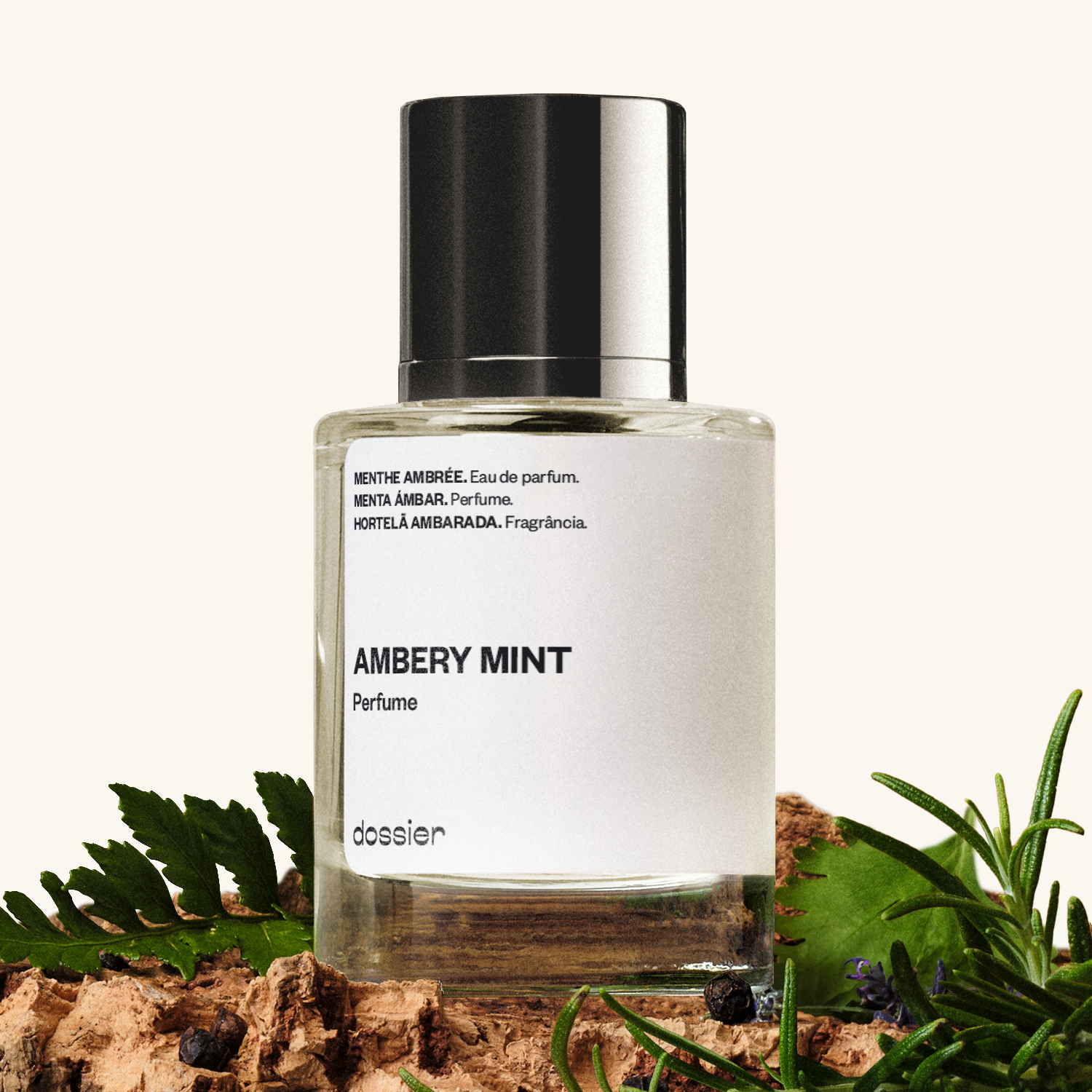 Parfum Ambery Mint Homme Frais Ambré Menthe Citron Vanille Tonka Saisissant