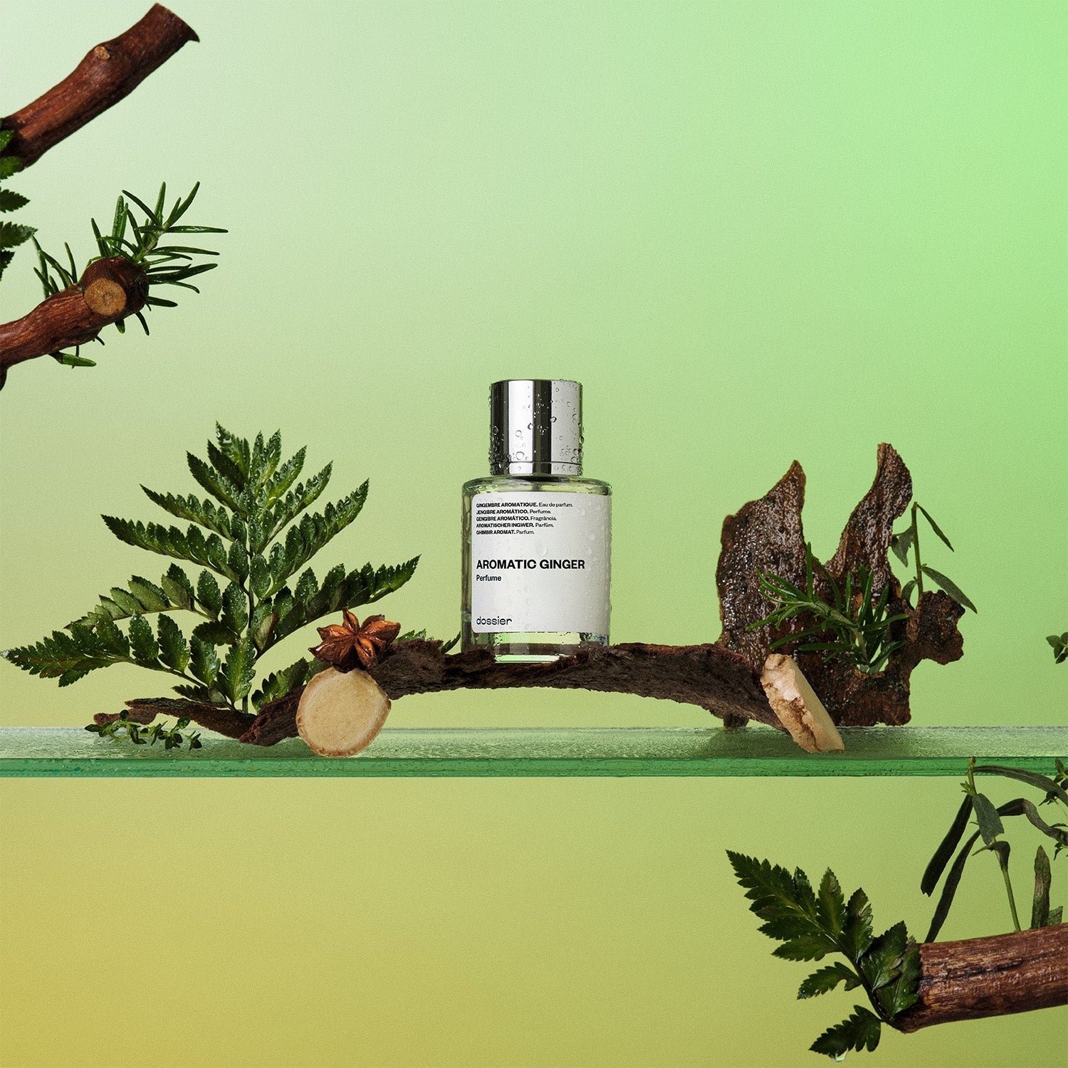 Parfum Homme Gingembre Aromatique Frais Boisé Notes Marines Éclatantes Longue Durée