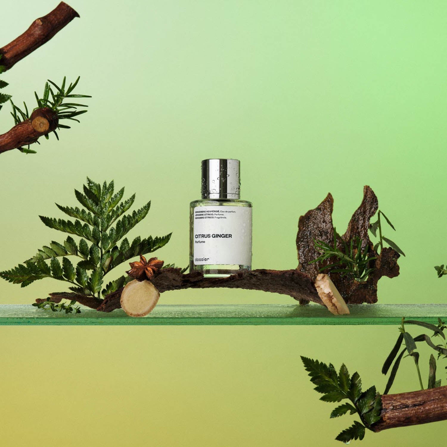 Parfum Homme Agrumes Gingembre Frais Boisé Épicé Élégant Citronné Mentholé