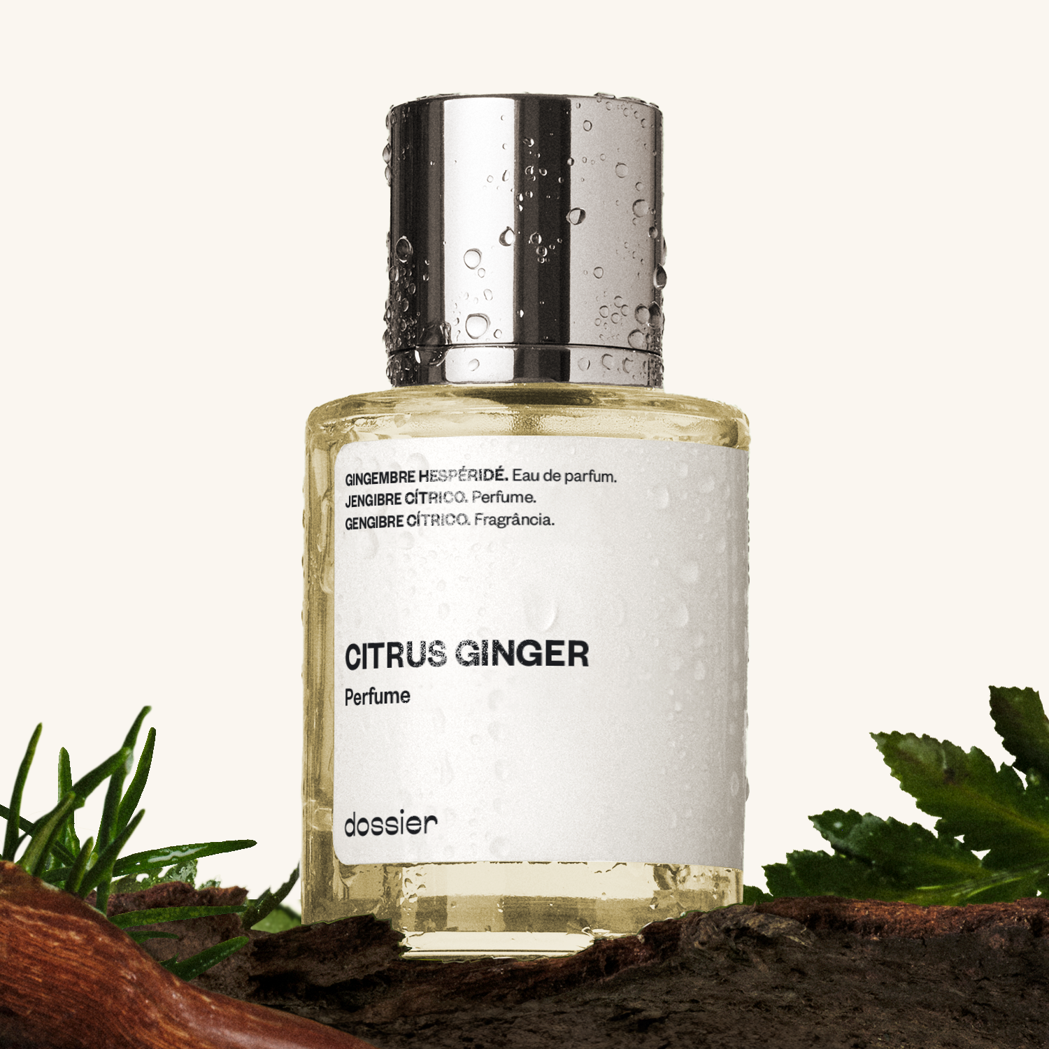 Parfum Homme Agrumes Gingembre Frais Boisé Épicé Élégant Citronné Mentholé
