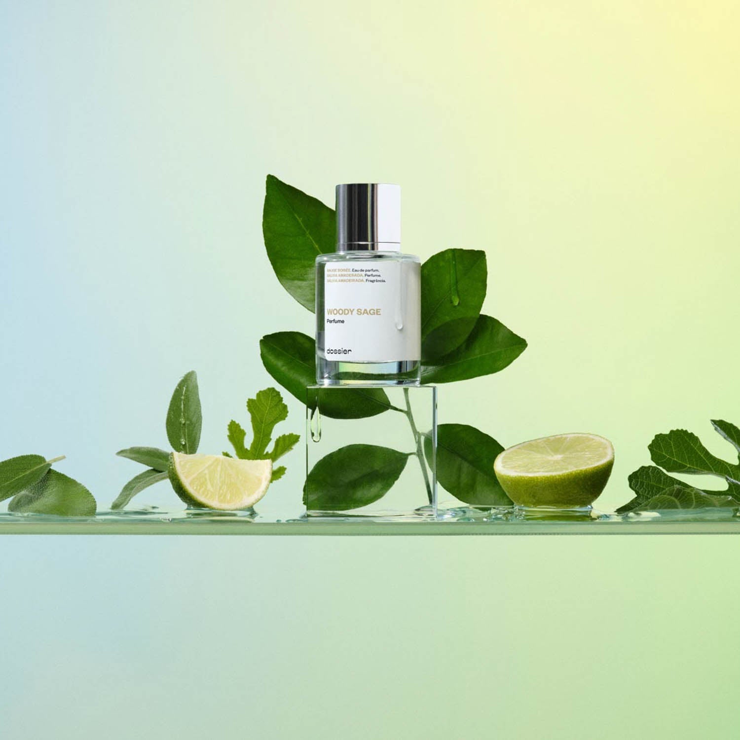 Parfum Unisexe Boisé Sauge Agrumes Figues Embruns Marins Frais Éclatant