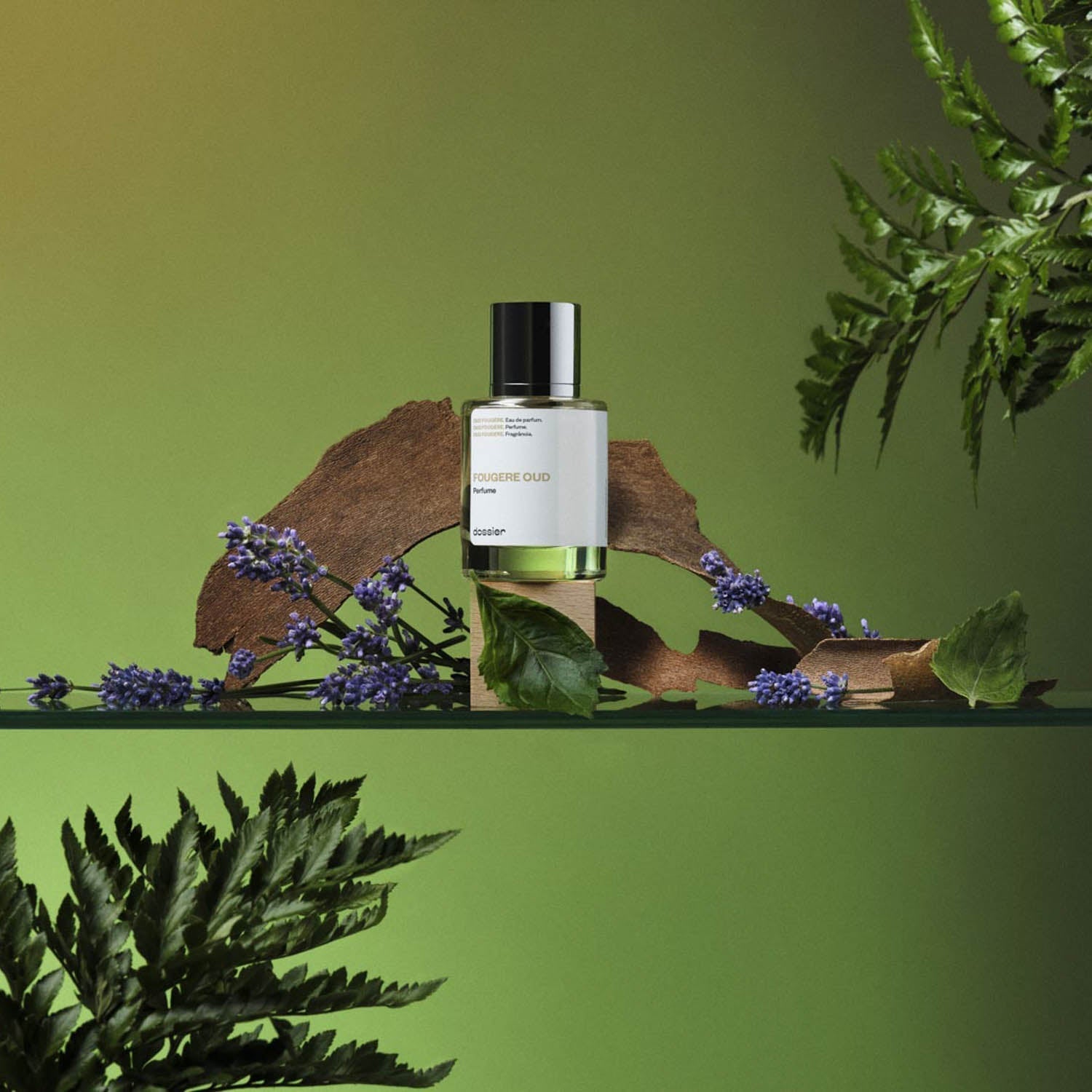 Parfum Unisexe Fougere Oud Boisé Oriental Intense: Cuir, Épices, Agrumes Rares