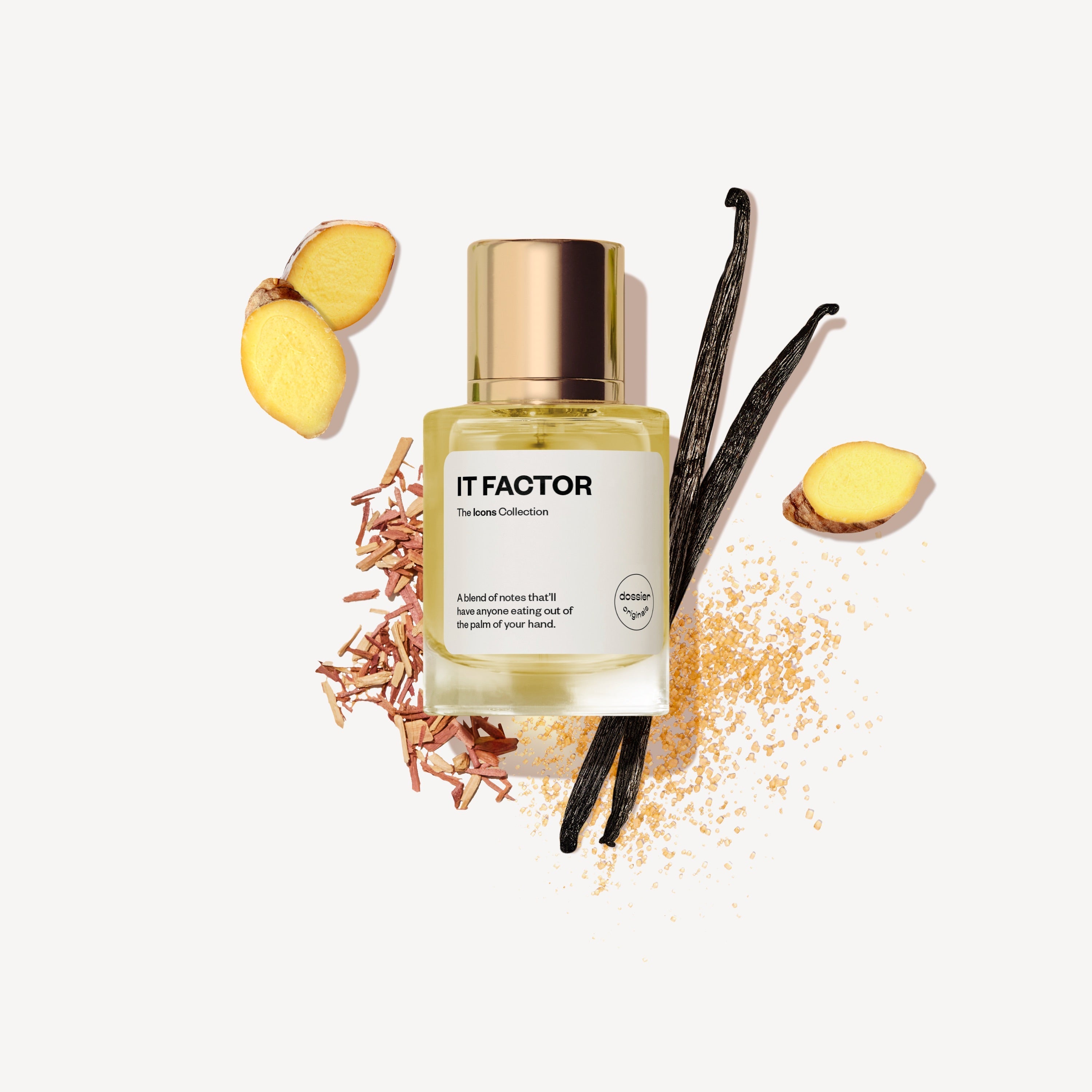IT Factor: Parfum Unisexe Chaleureux, Sensuel & Gourmand aux Notes Épicées